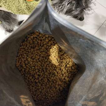 Корм для собак ROYAL CANIN Gastrointestinal low fat мелких пород 3кг: отзыв пользователя. Зоомагазин Зоозавр