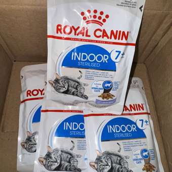 Корм для кошек ROYAL CANIN Indoor 85г для пожилых стерилизованных кошек 7+ желе пауч: отзыв пользователя. Зоомагазин Зоозавр