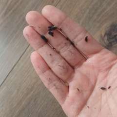 Фото отзыва 10609367