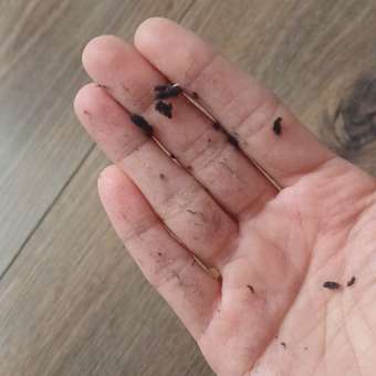 Кальсоны Day and Night: отзыв пользователя ДетМир