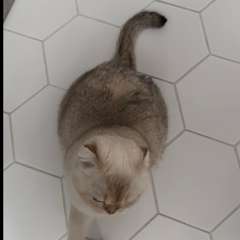 Фото отзыва 11188701