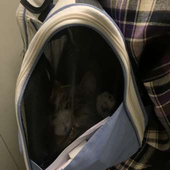 Рюкзак-переноска SuperPets для кошек и собак: отзыв пользователя. Зоомагазин Зоозавр