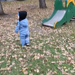 Видео отзыва 10430971