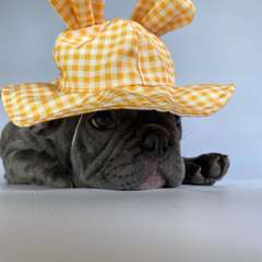 Фото отзыва 10334620