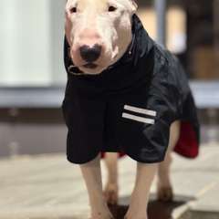 Фото отзыва 10647508