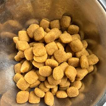 Корм для собак ROYAL CANIN Veterinary Diet Urinary S/O LP 18 при заболеваниях дистального отдела мочевыделительной системы 2кг: отзыв пользователя. Зоомагазин Зоозавр