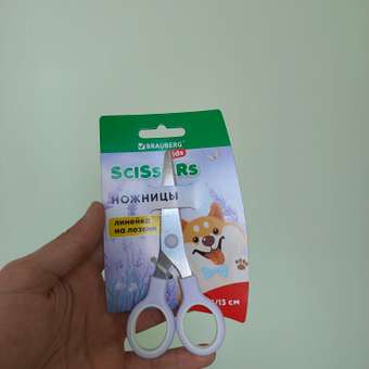 Ножницы безопасные Brauberg: отзыв пользователя Детский Мир