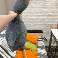 Фото отзыва 4968413