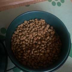 Фото отзыва 11042884