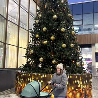 Коляска 2в1 Rant NEXUS зеленый: отзыв пользователя Детский Мир