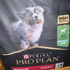 Фото отзыва 10724712