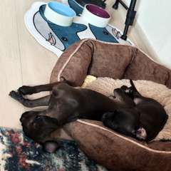 Фото отзыва 10537969