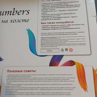 Картина по номерам Остров Сокровищ Пионы: отзыв пользователя Детский Мир