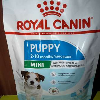 Корм для щенков ROYAL CANIN Puppy мелких пород 2кг: отзыв пользователя. Зоомагазин Зоозавр