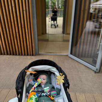 Игрушка Zeimas подвеска Монтессори Динозавр: отзыв пользователя Детский Мир