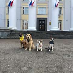 Фото отзыва 8740677