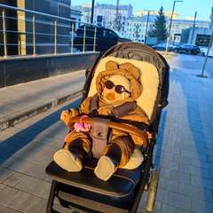 Фото отзыва 11225825