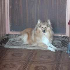 Фото отзыва 11307366