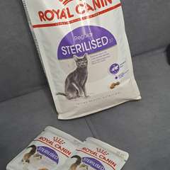 Фото отзыва 10579182