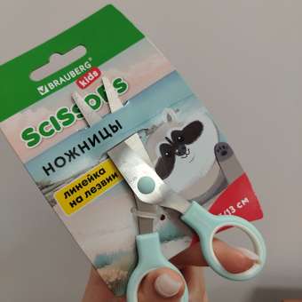 Ножницы безопасные Brauberg: отзыв пользователя Детский Мир