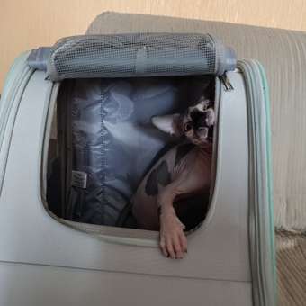 Сумка-рюкзак для животных Triol Travel Тиффани 320*280*370мм: отзыв пользователя. Зоомагазин Зоозавр