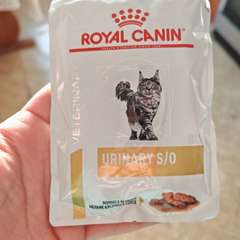 Фото отзыва 11023508