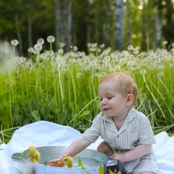 Комплект Baby Gо: отзыв пользователя Детский Мир