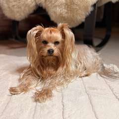 Фото отзыва 11041241