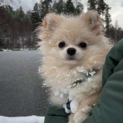 Фото отзыва 10982781