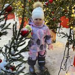 Фото отзыва 10868196