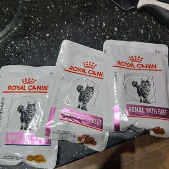 Корм для кошек ROYAL CANIN Renal with chicken для поддержания функции почек 85г: отзыв пользователя. Зоомагазин Зоозавр