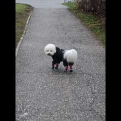 Видео отзыва 10821069