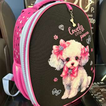 Ранец Erhaft Пудель: отзыв пользователя Детский Мир