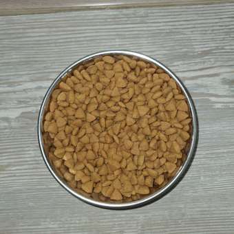 Корм для кошек ROYAL CANIN Hypoallergenic DR25 с пищевой аллергией 2.5кг: отзыв пользователя. Зоомагазин Зоозавр