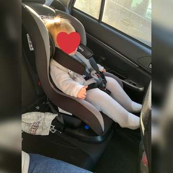 Автокресло Babyton Nord Fix Black-Grey Isofix 0+/1 (0-18 кг): отзыв пользователя ДетМир