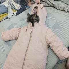 Фото отзыва 8045831