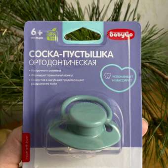 Пустышка BabyGo силикон ортодонтическая от 6 мес.: отзыв пользователя Детский Мир