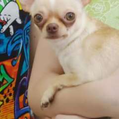 Фото отзыва 10886951