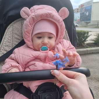 Пустышка Dr Browns анатомическая от 6 мес. 2 шт.: отзыв пользователя Детский Мир