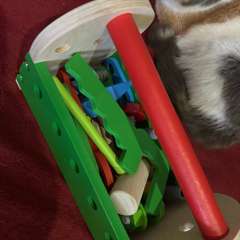 Фото отзыва 10750330