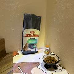 Фото отзыва 10533404