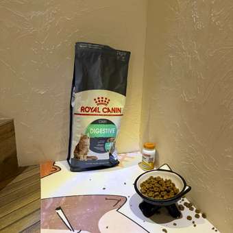 Корм сухой для кошек ROYAL CANIN 2кг Digestive care для поддержания здоровья пищеварительной системы: отзыв пользователя. Зоомагазин Зоозавр