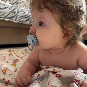 Пустышка Philips Avent силикон ортодонтическая от 0 мес. 1 шт.: отзыв пользователя Детский Мир