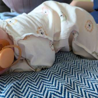 Пустышка Philips Avent силикон ортодонтическая от 0 мес. 2 шт.: отзыв пользователя Детский Мир