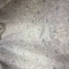 Фото отзыва 10630393