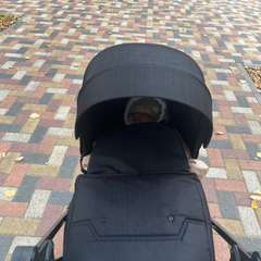 Фото отзыва 10523626