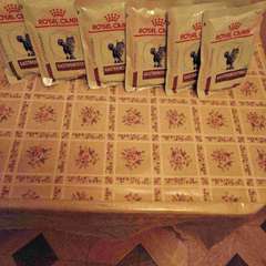 Фото отзыва 11030737