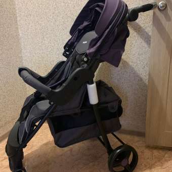 Коляска прогулочная Babyton Comfort Plus Purple фиолетовый: отзыв пользователя Детский Мир