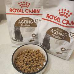 Фото отзыва 10582543