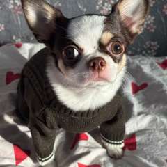 Фото отзыва 10507551